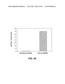 HYDROPHOBIC AND HYDROPHILIC INTERPENETRATING POLYMER NETWORKS DERIVED FROM     HYDROPHOBIC POLYMERS AND METHODS OF PREPARING THE SAME diagram and image