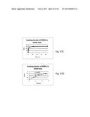 HYDROPHOBIC AND HYDROPHILIC INTERPENETRATING POLYMER NETWORKS DERIVED FROM     HYDROPHOBIC POLYMERS AND METHODS OF PREPARING THE SAME diagram and image