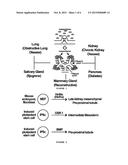 STRATEGY FOR ENGINEERING VARIOUS 3D TISSUES, ORGANOIDS AND VASCULATURE diagram and image