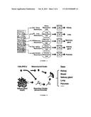 STRATEGY FOR ENGINEERING VARIOUS 3D TISSUES, ORGANOIDS AND VASCULATURE diagram and image