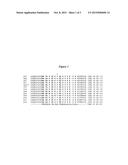 DNA POLYMERASES WITH IMPROVED ACTIVITY diagram and image