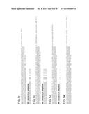 ENDORIBONUCLEASE COMPOSITIONS AND METHODS OF USE THEREOF diagram and image