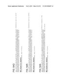 ENDORIBONUCLEASE COMPOSITIONS AND METHODS OF USE THEREOF diagram and image