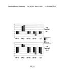 METHODS AND COMPOSITIONS INVOLVING MIRNA  AND MIRNA INHIBITOR MOLECULES diagram and image