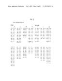 METHODS AND COMPOSITIONS INVOLVING MIRNA  AND MIRNA INHIBITOR MOLECULES diagram and image