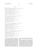 METHODS AND COMPOSITIONS INVOLVING MIRNA  AND MIRNA INHIBITOR MOLECULES diagram and image