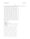 COMPOSITION FOR CLEAVING A TARGET DNA COMPRISING A GUIDE RNA SPECIFIC FOR     THE TARGET DNA AND CAS PROTEIN-ENCODING NUCLEIC ACID OR CAS PROTEIN, AND     USE THEREOF diagram and image