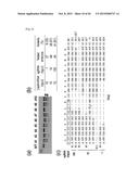 COMPOSITION FOR CLEAVING A TARGET DNA COMPRISING A GUIDE RNA SPECIFIC FOR     THE TARGET DNA AND CAS PROTEIN-ENCODING NUCLEIC ACID OR CAS PROTEIN, AND     USE THEREOF diagram and image