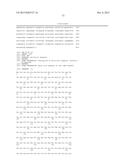 COMPOSITION FOR CLEAVING A TARGET DNA COMPRISING A GUIDE RNA SPECIFIC FOR     THE TARGET DNA AND CAS PROTEIN-ENCODING NUCLEIC ACID OR CAS PROTEIN, AND     USE THEREOF diagram and image