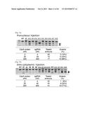 COMPOSITION FOR CLEAVING A TARGET DNA COMPRISING A GUIDE RNA SPECIFIC FOR     THE TARGET DNA AND CAS PROTEIN-ENCODING NUCLEIC ACID OR CAS PROTEIN, AND     USE THEREOF diagram and image