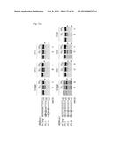 COMPOSITION FOR CLEAVING A TARGET DNA COMPRISING A GUIDE RNA SPECIFIC FOR     THE TARGET DNA AND CAS PROTEIN-ENCODING NUCLEIC ACID OR CAS PROTEIN, AND     USE THEREOF diagram and image