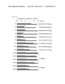 COMPOSITION FOR CLEAVING A TARGET DNA COMPRISING A GUIDE RNA SPECIFIC FOR     THE TARGET DNA AND CAS PROTEIN-ENCODING NUCLEIC ACID OR CAS PROTEIN, AND     USE THEREOF diagram and image