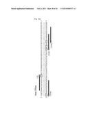 COMPOSITION FOR CLEAVING A TARGET DNA COMPRISING A GUIDE RNA SPECIFIC FOR     THE TARGET DNA AND CAS PROTEIN-ENCODING NUCLEIC ACID OR CAS PROTEIN, AND     USE THEREOF diagram and image