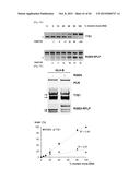 COMPOSITION FOR CLEAVING A TARGET DNA COMPRISING A GUIDE RNA SPECIFIC FOR     THE TARGET DNA AND CAS PROTEIN-ENCODING NUCLEIC ACID OR CAS PROTEIN, AND     USE THEREOF diagram and image