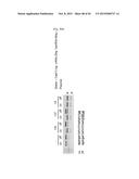 COMPOSITION FOR CLEAVING A TARGET DNA COMPRISING A GUIDE RNA SPECIFIC FOR     THE TARGET DNA AND CAS PROTEIN-ENCODING NUCLEIC ACID OR CAS PROTEIN, AND     USE THEREOF diagram and image