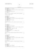 COMPOSITION FOR CLEAVING A TARGET DNA COMPRISING A GUIDE RNA SPECIFIC FOR     THE TARGET DNA AND CAS PROTEIN-ENCODING NUCLEIC ACID OR CAS PROTEIN, AND     USE THEREOF diagram and image