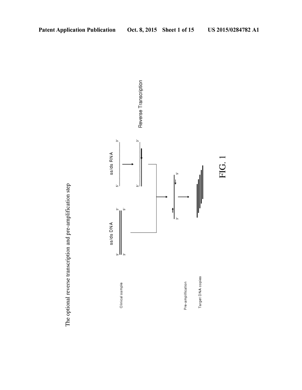 METHOD FOR THE SIMULTANEOUS DETECTION OF MULTIPLE NUCLEIC ACID SEQUENCES     IN A SAMPLE - diagram, schematic, and image 02