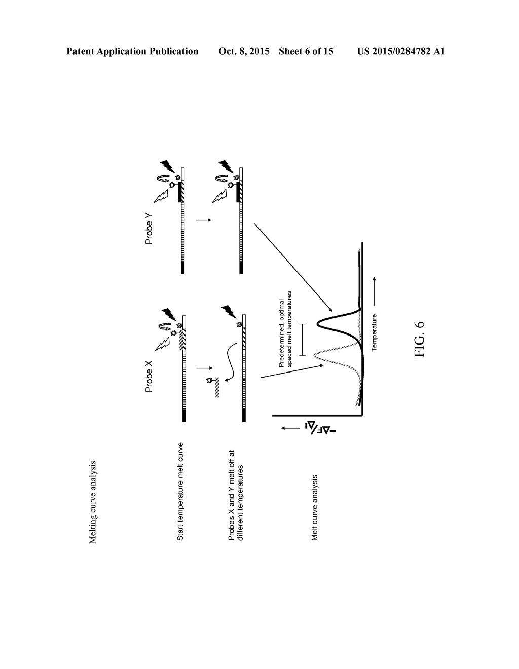 METHOD FOR THE SIMULTANEOUS DETECTION OF MULTIPLE NUCLEIC ACID SEQUENCES     IN A SAMPLE - diagram, schematic, and image 07