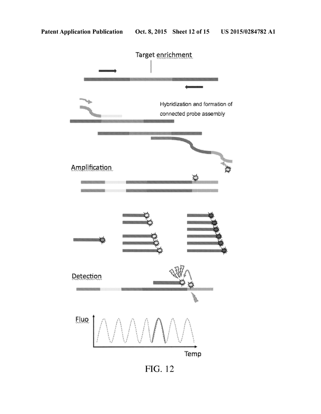 METHOD FOR THE SIMULTANEOUS DETECTION OF MULTIPLE NUCLEIC ACID SEQUENCES     IN A SAMPLE - diagram, schematic, and image 13