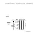 Compositions and Methods for the Diagnosis of Retinal Neovascularization diagram and image