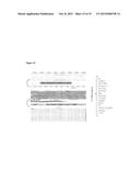 Compositions and Methods for the Diagnosis of Retinal Neovascularization diagram and image