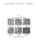 BIOMARKER FOR PREDICTING EFFECT OF AN ANTI-C-MET ANTIBODY diagram and image