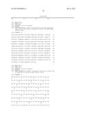 BIOMARKER FOR PREDICTING EFFECT OF AN ANTI-C-MET ANTIBODY diagram and image