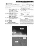 RuO2 Coatings diagram and image