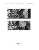 CONFORMAL COATING OF POLYMER FIBERS ON NONWOVEN SUBSTRATES diagram and image