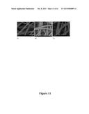 CONFORMAL COATING OF POLYMER FIBERS ON NONWOVEN SUBSTRATES diagram and image