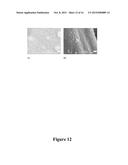 CONFORMAL COATING OF POLYMER FIBERS ON NONWOVEN SUBSTRATES diagram and image