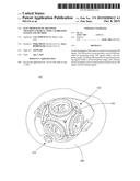 ELECTROMAGNETIC RECEIVER TRACKING AND REAL-TIME CALIBRATION SYSTEM AND     METHOD diagram and image