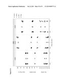 IONIC STRENGTH-MEDIATED PH GRADIENT ION EXCHANGE CHROMATOGRAPHY diagram and image