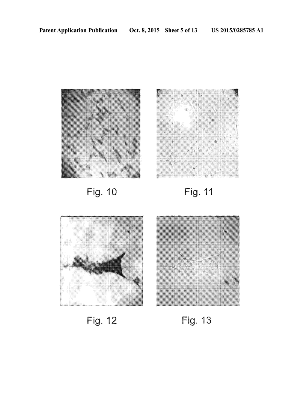 MONITORING AND/OR CHARACTERISING BIOLOGICAL OR CHEMICAL MATERIAL - diagram, schematic, and image 06