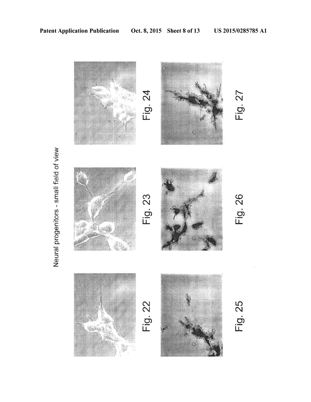 MONITORING AND/OR CHARACTERISING BIOLOGICAL OR CHEMICAL MATERIAL - diagram, schematic, and image 09