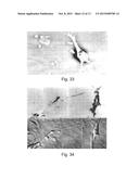 MONITORING AND/OR CHARACTERISING BIOLOGICAL OR CHEMICAL MATERIAL diagram and image