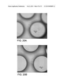 MICROFLUIDIC DEVICES FOR THE CAPTURE OF BIOLOGICAL SAMPLE COMPONENTS diagram and image