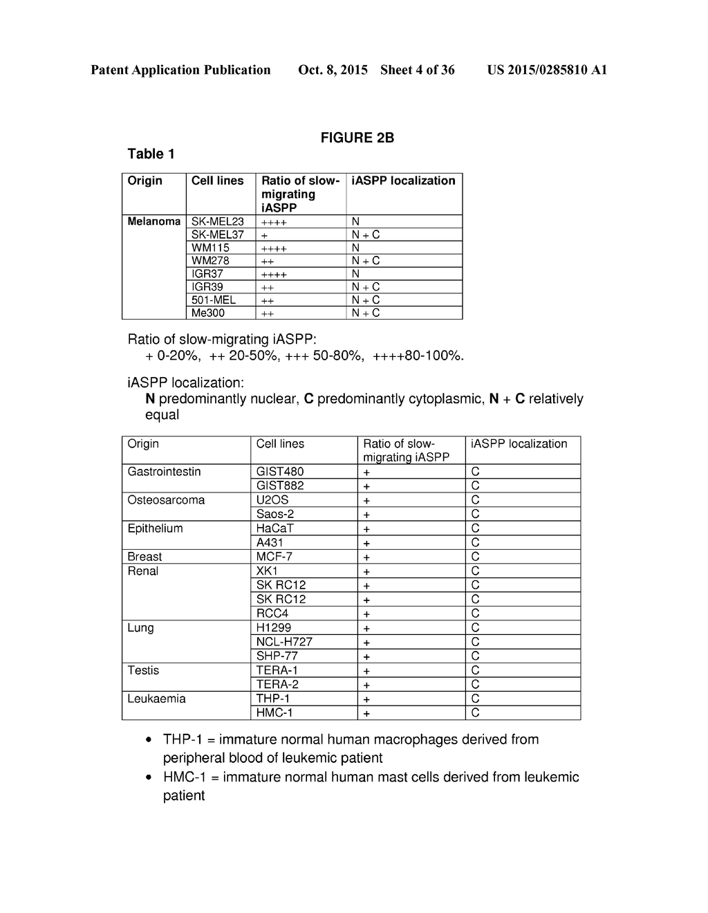 IASPP PHOSPHORYLATION AND METASTATIC POTENTIAL - diagram, schematic, and image 05