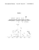 IASPP PHOSPHORYLATION AND METASTATIC POTENTIAL diagram and image