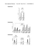 IASPP PHOSPHORYLATION AND METASTATIC POTENTIAL diagram and image