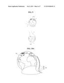 GLOBE DISPLAY DEVICE diagram and image