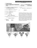 ANTI-HEBBIAN AND HEBBIAN COMPUTING WITH THERMODYNAMIC RAM diagram and image