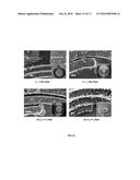 HIGH-FREQUENCY INTEGRATED DEVICE WITH AN ENHANCED INDUCTANCE AND A PROCESS     THEREOF diagram and image