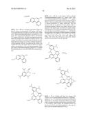 ORGANIC ELECTROLUMINESCENT MATERIALS AND DEVICES diagram and image