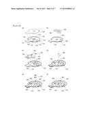 BRUSHLESS DIRECT CURRENT VIBRATIONAL MOTOR diagram and image