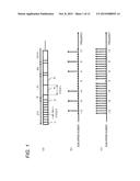 TRANSMITTER, RECEIVER, TRANSMISSION METHOD, AND RECEPTION METHOD diagram and image