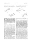 HERBICIDE COMPOSITION diagram and image