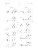 HERBICIDE COMPOSITION diagram and image