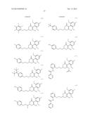 HERBICIDE COMPOSITION diagram and image