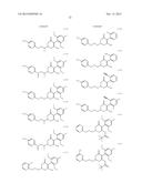 HERBICIDE COMPOSITION diagram and image